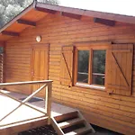 Bois 150m De La Olmeto (Corsica)