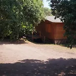 Bois 150m De La Olmeto (Corsica)