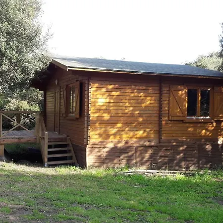 Apartment Bois 150m De La *