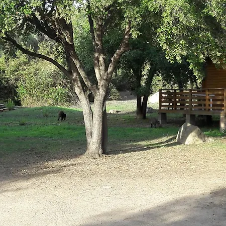 Bois 150m De La * Olmeto (Corsica)