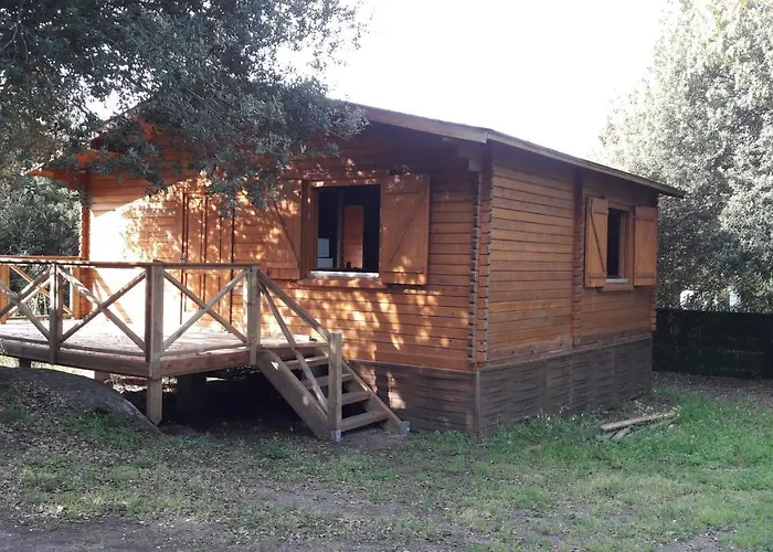Bois 150m De La