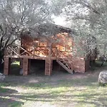 Bois 150m De La Olmeto
