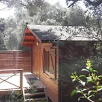 Bois 150m De La
