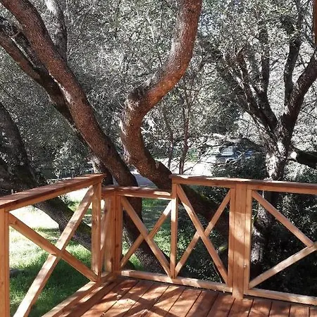 Bois 150m De La Lägenhet