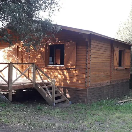 Bois 150m De La