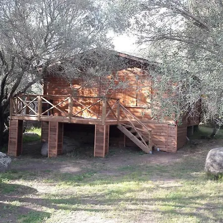 Bois 150m De La Olmeto (Corsica)