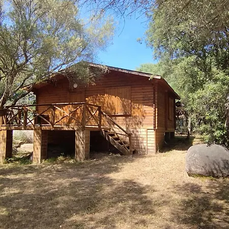 Bois 150m De La Apartament