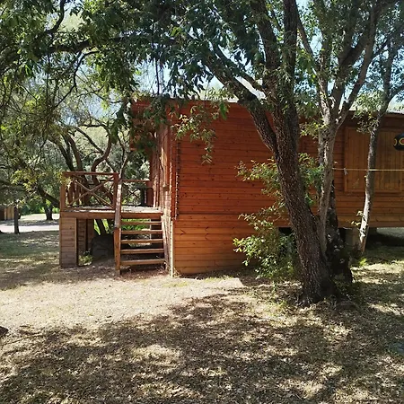 Apartament Bois 150m De La *