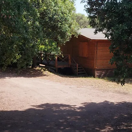 Bois 150m De La Olmeto (Corsica)