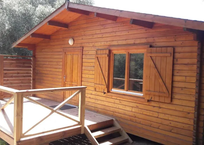 Bois 150m De La Olmeto (Corsica)