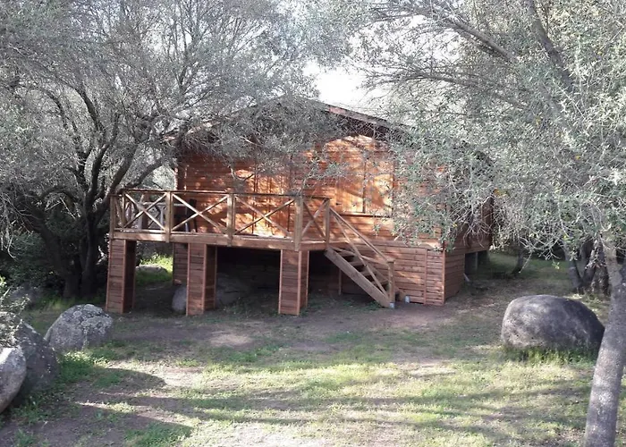 Bois 150m De La Olmeto (Corsica)