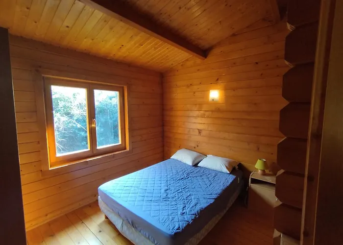 Apartment Bois 150m De La Olmeto (Corsica)